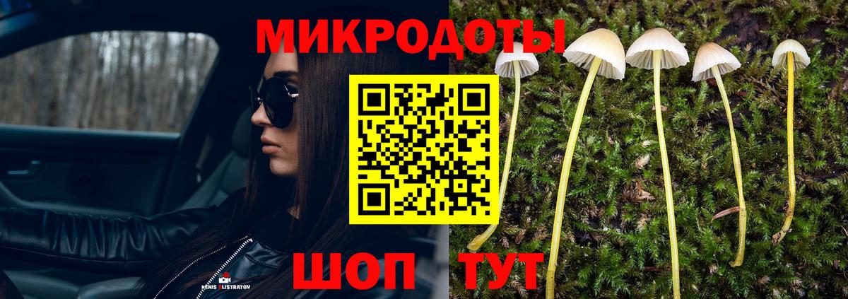 Артёмовский  Псилоцибиновые грибы Cubensis  купить   Вход с VPN 