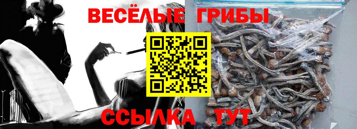 Псилоцибиновые грибы GOLDEN TEACHER Артёмовский